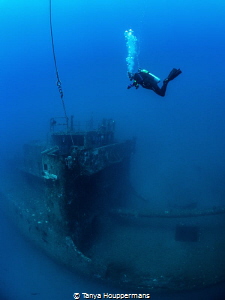 Freefall
A diver descends to the wreck of the USCGC Spar... by Tanya Houppermans 